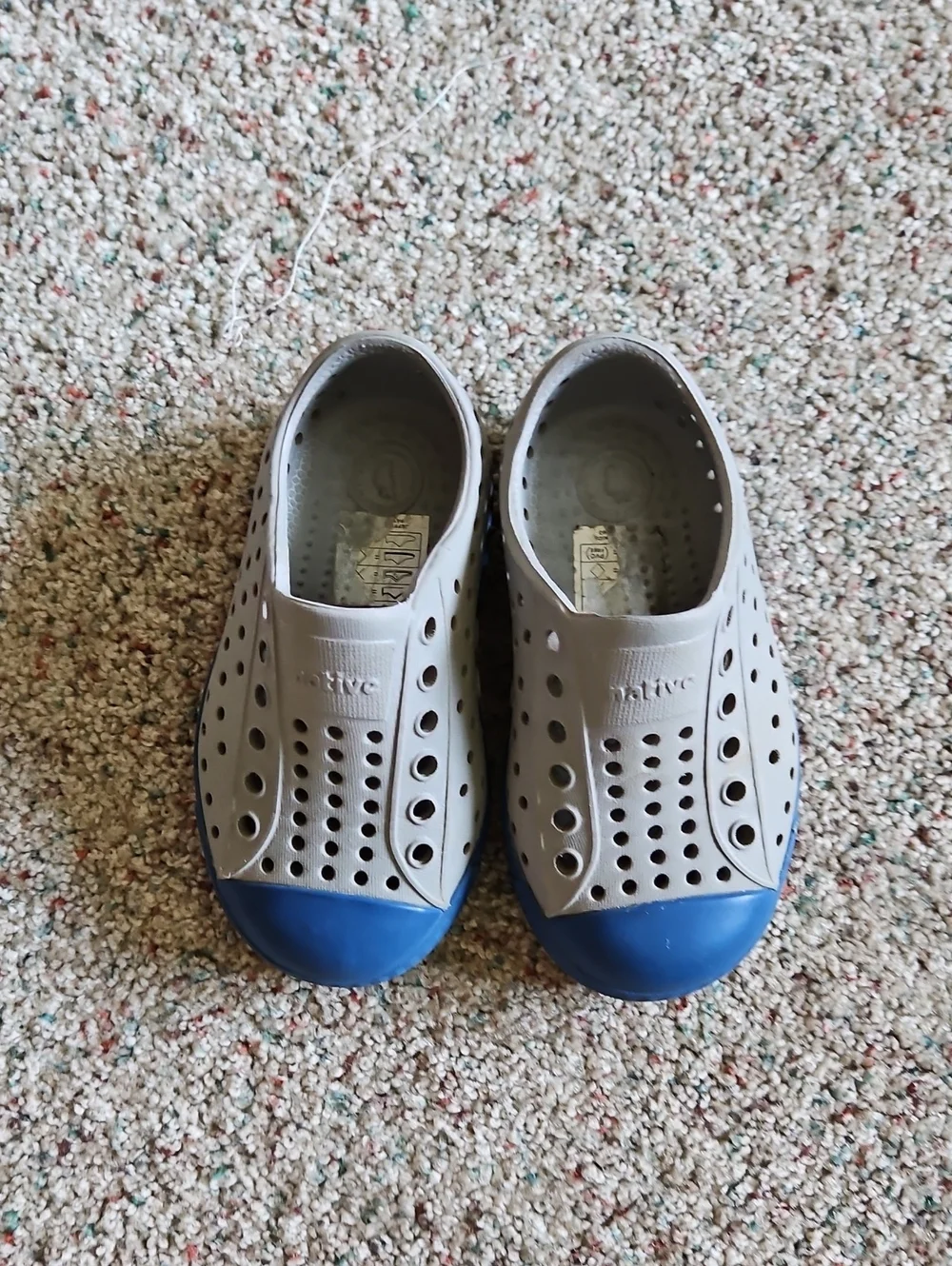 Native Shoes Jefferson Unisex Slip-On Kids Shoes - Gray with Blue Toe C6